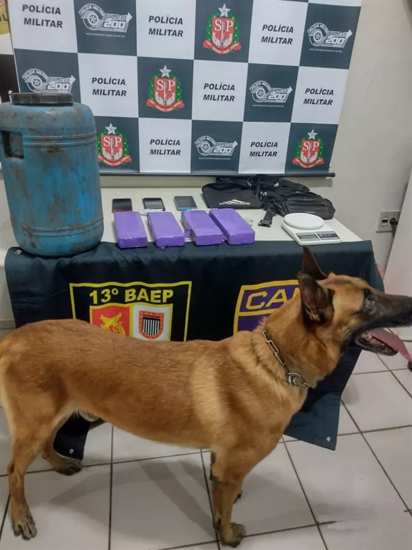 Trio é surpreendido com droga enterrada em matagal em Pompéia